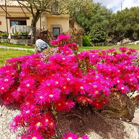 Aia Del Sole Bed and breakfast Olbia