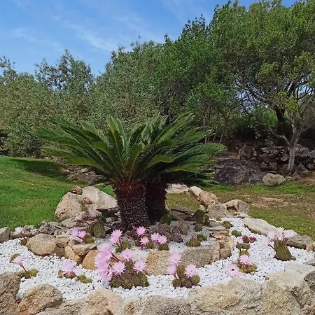 Aia Del Sole Bed and breakfast
